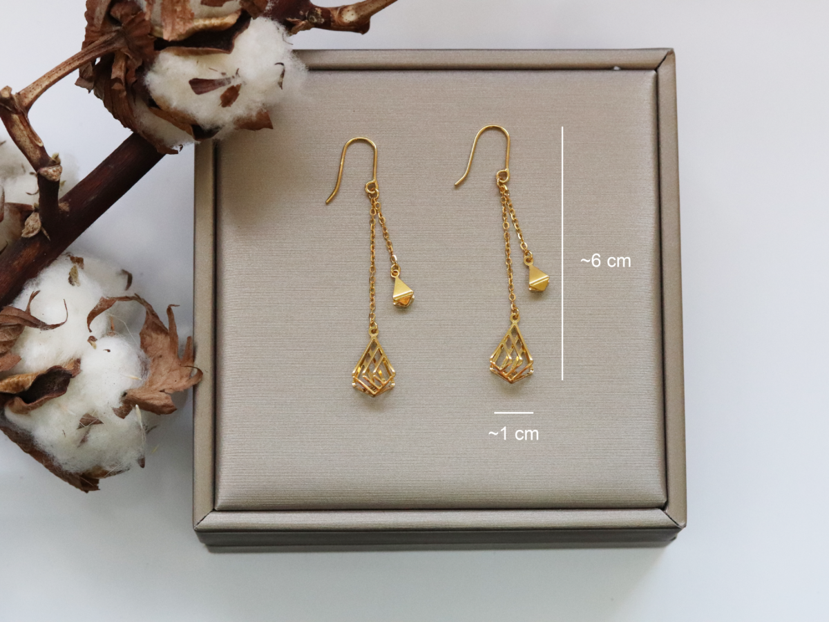 Euclidean Complex Earrings