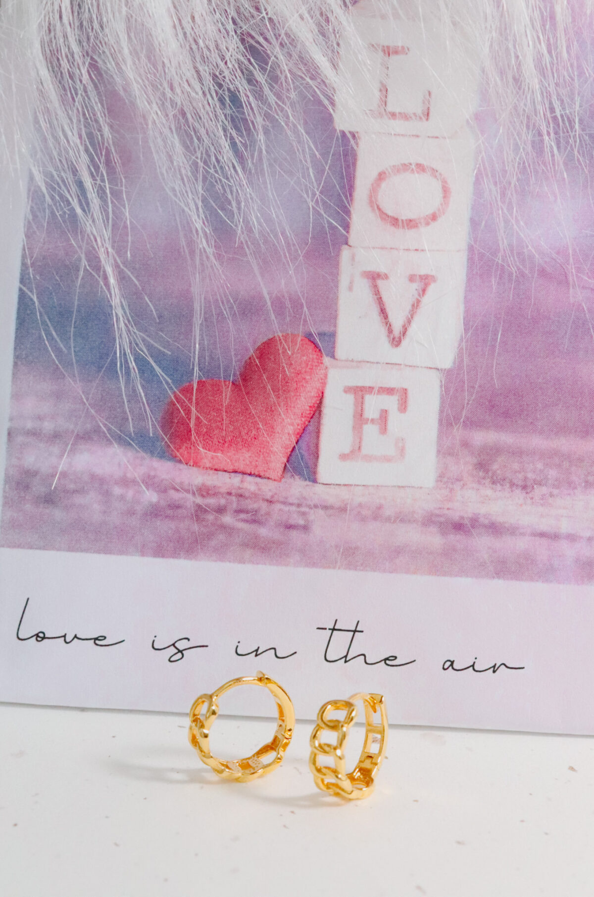 Claudia Hoop Earrings